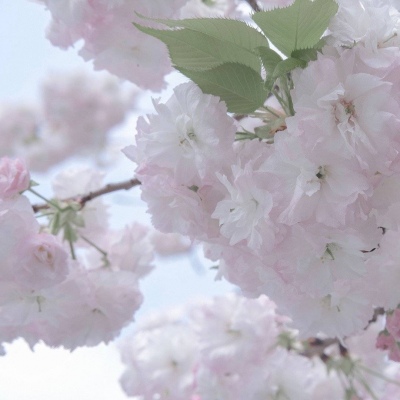 Furry角色比例设计技巧FurryQQ群